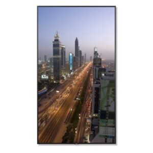 SHARP-NEC  M981 MONITOR DE USO COMERCIAL