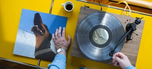 PRO-JECT Debut Carbon EVO - Imagen 3